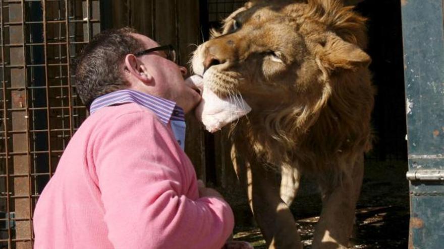 José Luis García besa a su león &quot;Sandof&quot;, que ha criado desde que tenía dos meses. García se ve obligado a solicitar ayuda para que se lo lleven a otro lugar, ya que le han expropiado el terreno donde vivía con motivo de la ampliación del aeropuerto de la ciudad de Córdoba. EFE/Olga Labrador