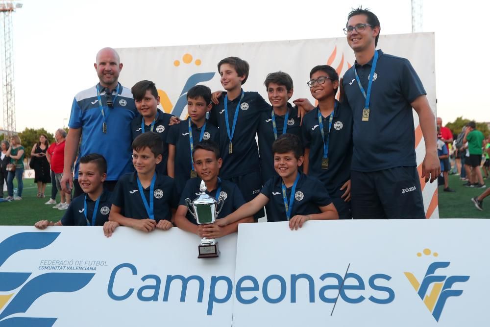 Campeones futbol 8