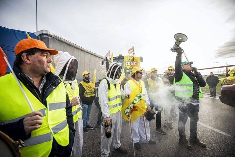 Manifestación de agricultores en Zaragoza