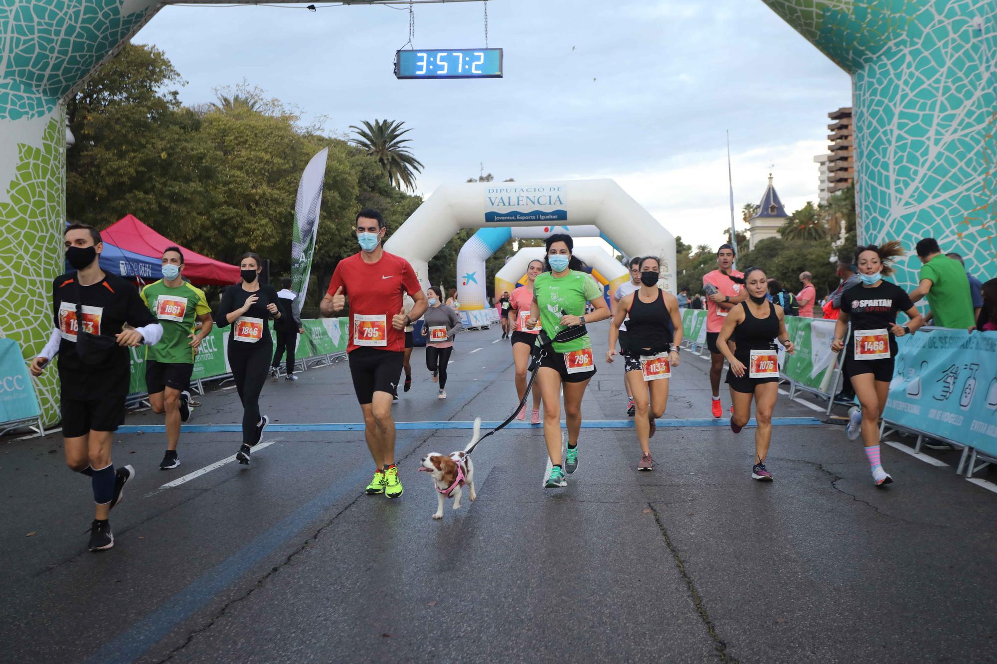 Búscate en la carrera contra el cáncer de València