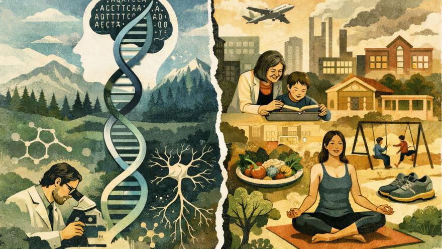 Genes y decisiones moldean el cerebro