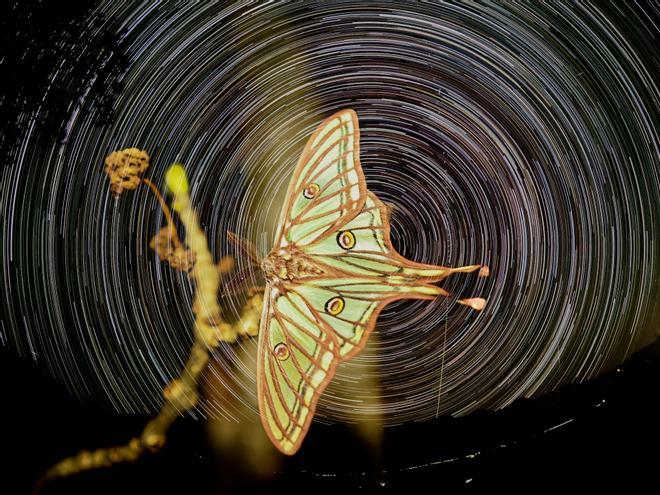 Jofre Cutal, el jove de Berga que somia treballar a National Geographic