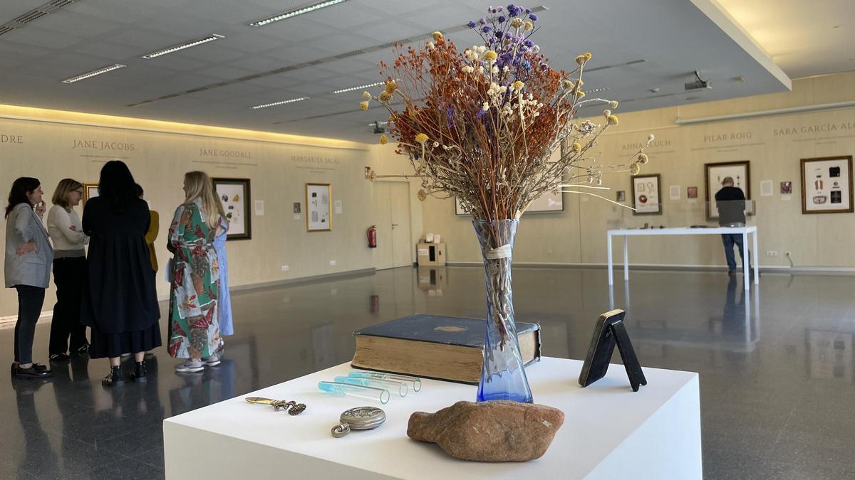 Objetos expuestos en la muestra "Artefactos científicos. Mujeres, identidad, ciencia y objetos"