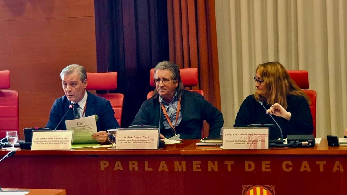Los responsables de la Sectorial del Aceite con DO, en el Parlamento catalán.