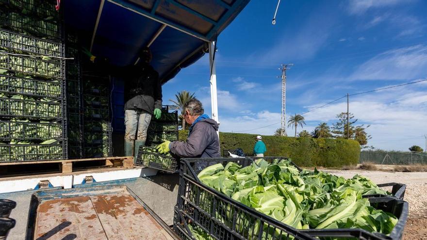 Calzado y agricultura siguen sin levantar cabeza y reducen un 2,2 % las exportaciones de Alicante