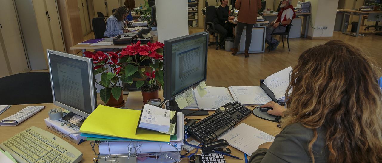 Funcionarios con ordenadores en el Ayuntamiento de Elche.