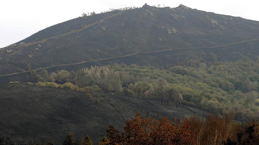 Vista del monte quemado en Silleda // BERNABE / JAVIER LALIN