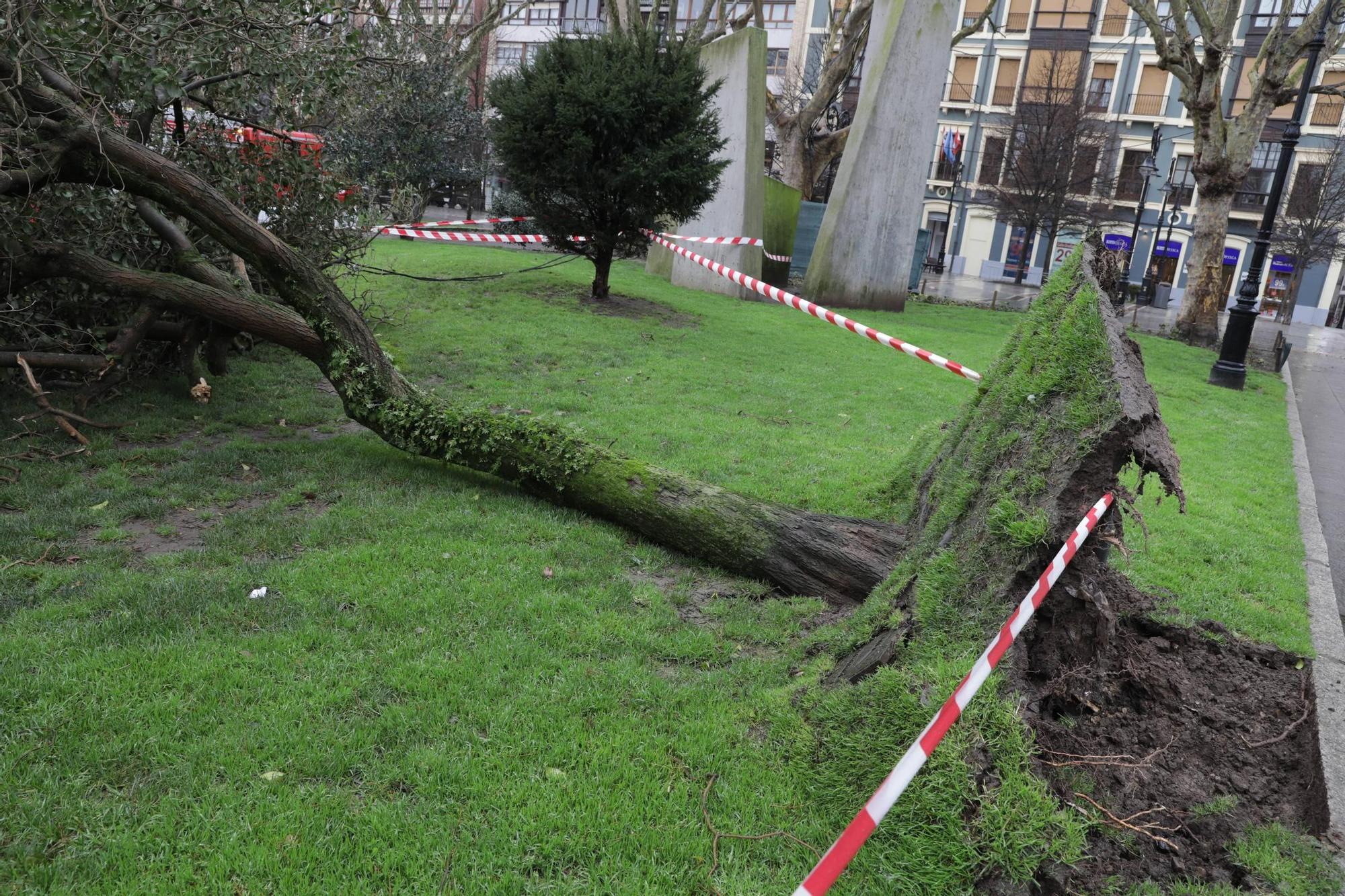 Los efectos de la "tormentona" en Gijón (en imágenes)