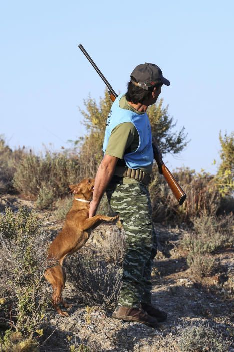 Diez mil cazadores inician la temporada de caza del conejo