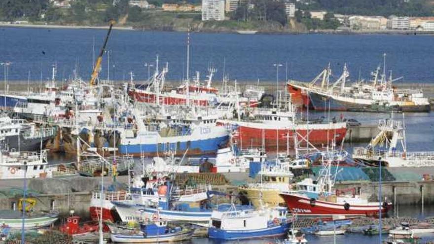 Flota coruñesa que opera en el Atlántico Noroeste, amarrada al muelle de Oza. / víctor echave