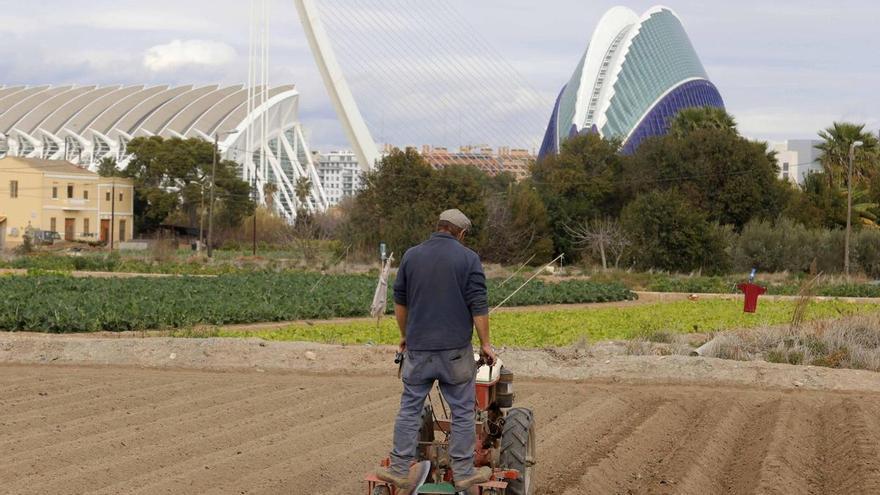 El plan de huerta de València permitirá transformar naves de zonas degradadas en viviendas