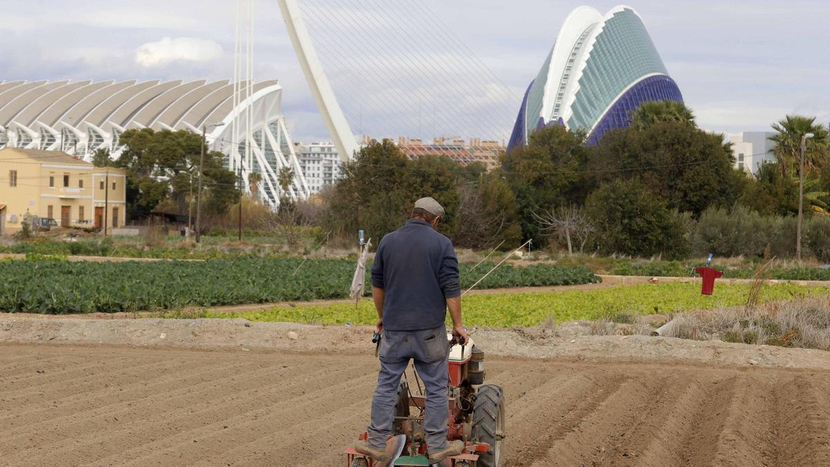 Un agricultor trabaja las tierras en la huerta del entorno de l'Oceanográfic