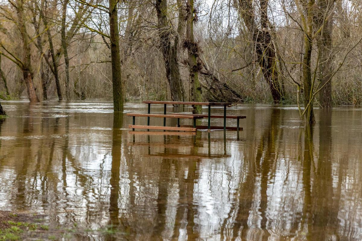 La crecida del río Manzanares ha inundado una zona de merendero de El Prado, donde el cauce ha aumentado entre cuatro y cinco metros.