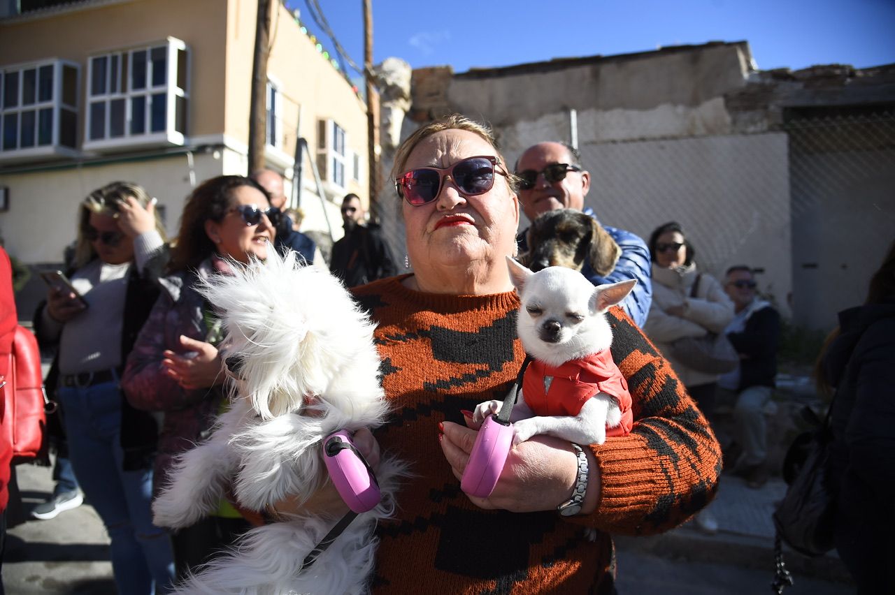 Bendición de animales por San Antón en Cartagena