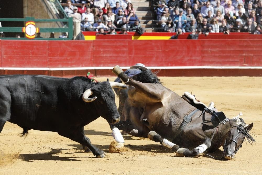 Secuencia de la cogida de uno de los caballos del rejoneador Sergio Galán el día de San José en la Feria de Fallas 2019.