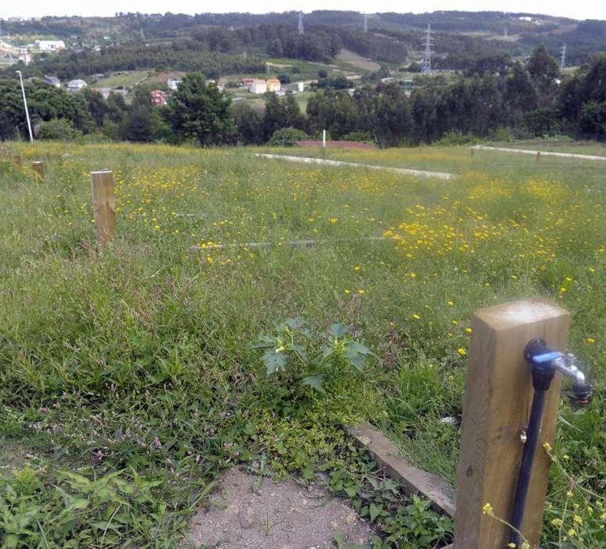Vista de los terrenos de los huertos urbanos. víctor echave