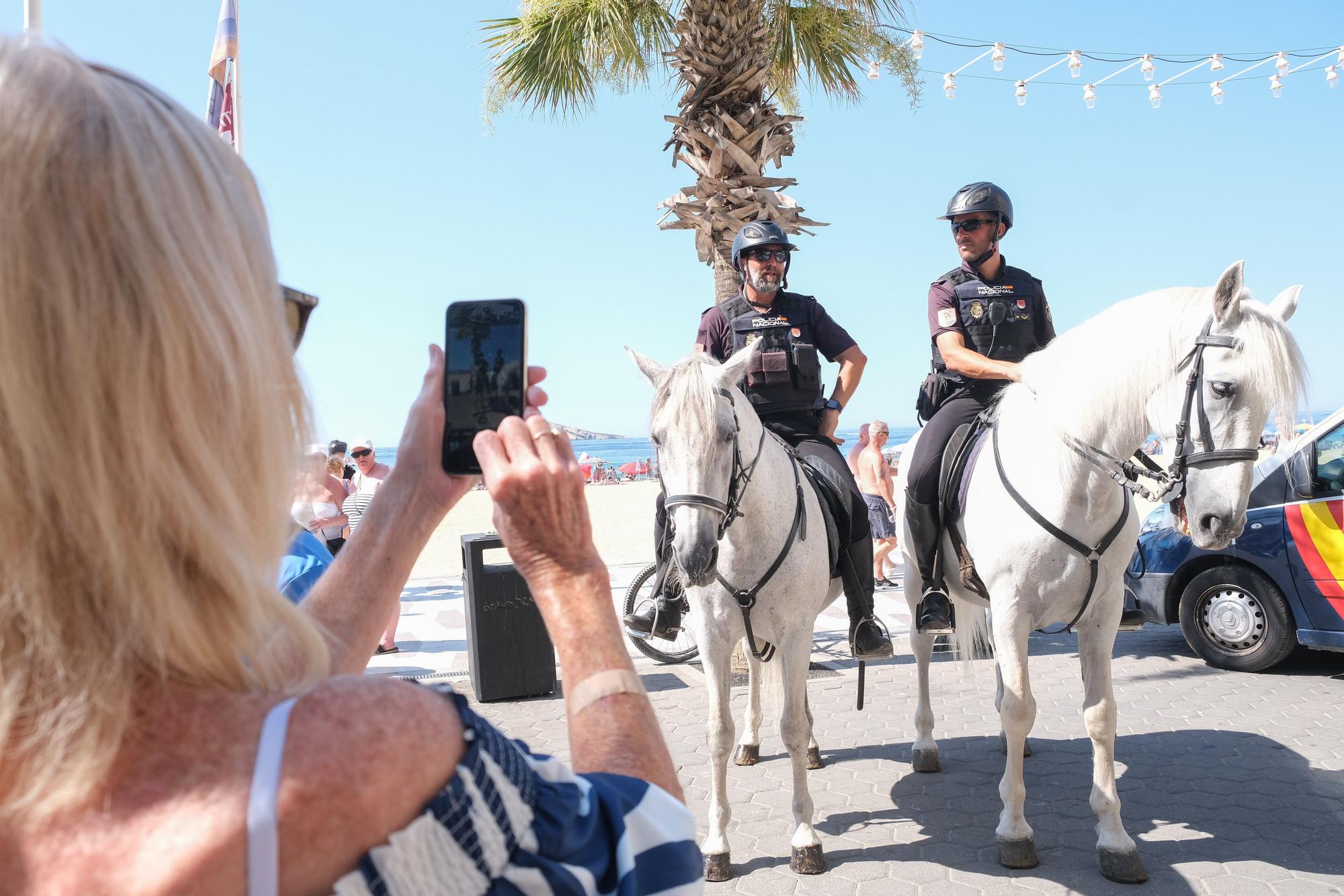 Así ha sido la exposición de medios de la Policía Nacional en Benidorm