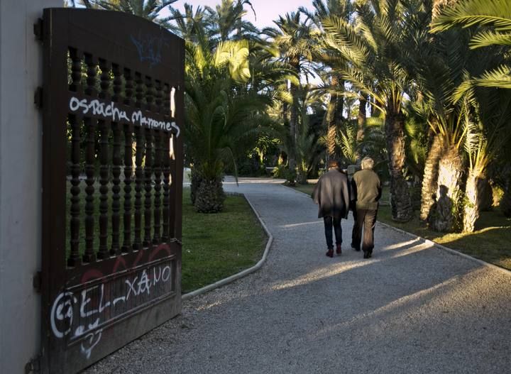 El Parque Municipal de Elche, una perla verde que hay que atender mejor