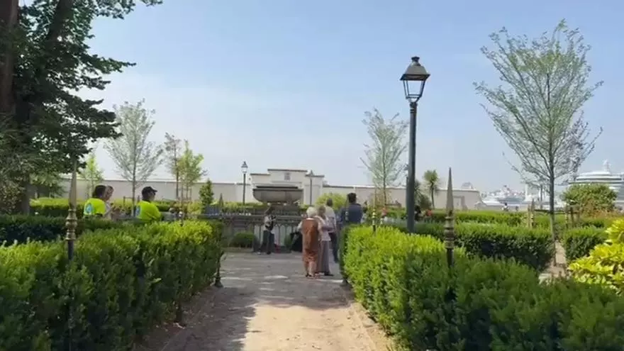El jardín de San Carlos reabre con ocho olmos nuevos y seis bajo control