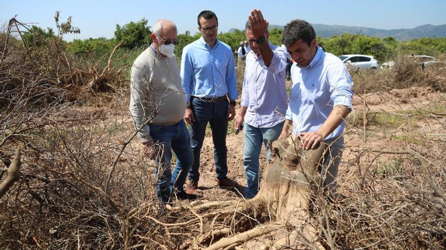 Mazón, durante su visita.