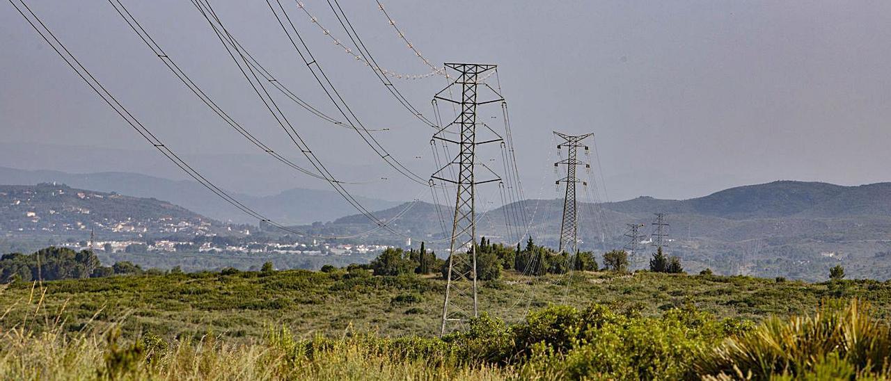 Los proyectos se ubican sobre monte público en la partida de Trislares de Tous. | PERALES IBORRA