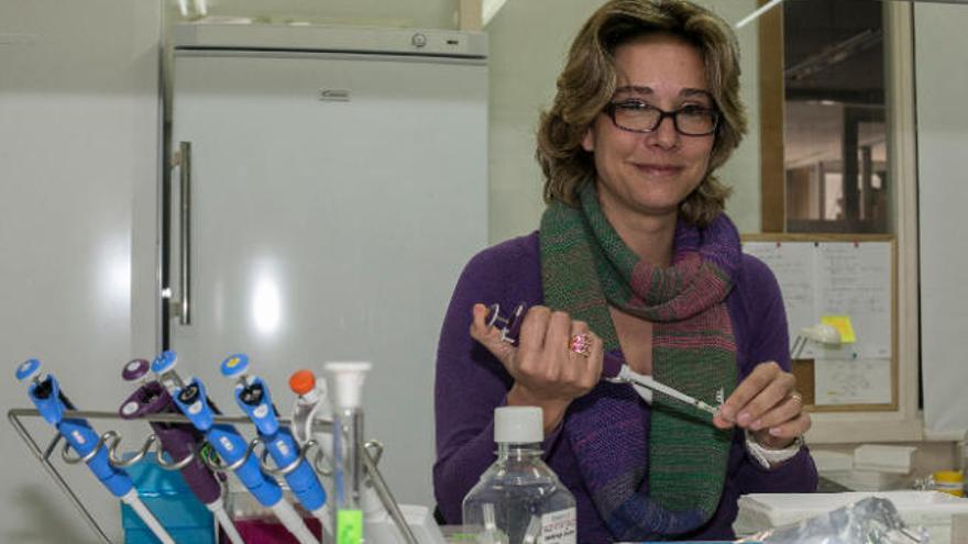 La investigadora de la Universidad de La Laguna (ULL) Teresa Giráldez, en su laboratorio.