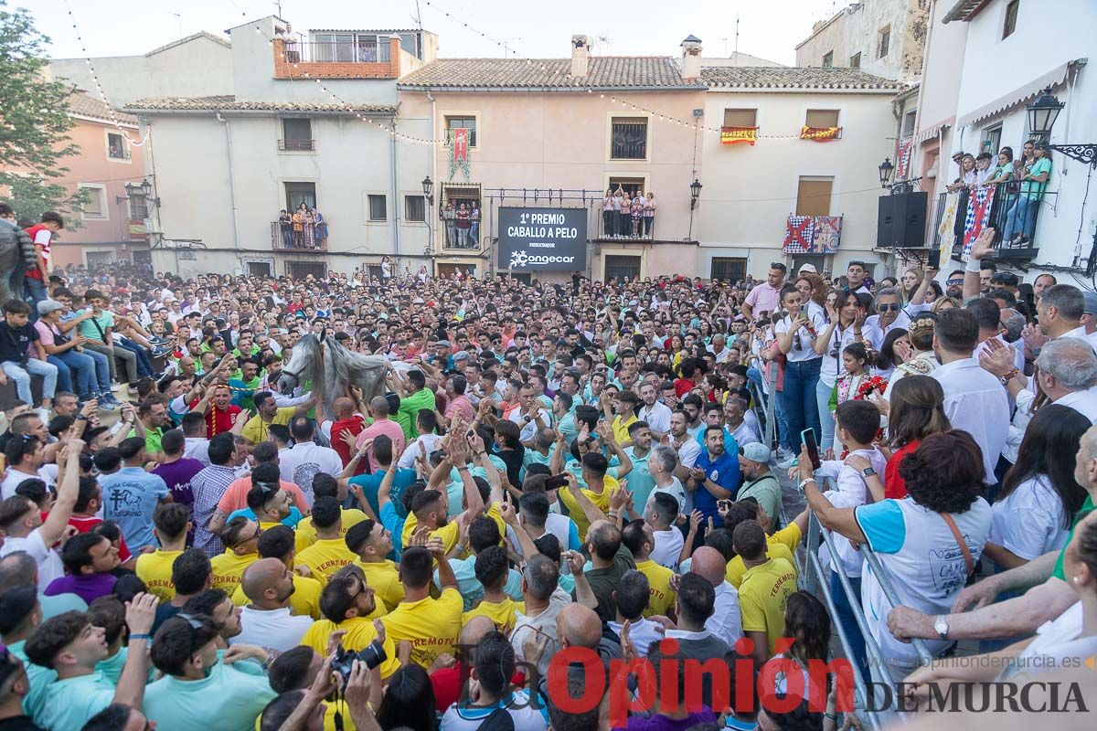 Entrega de premios del concurso morfológico de los Caballos del Vino de Caravaca