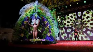 Sábado de Carnaval: la fiesta inunda Málaga de color y alegría