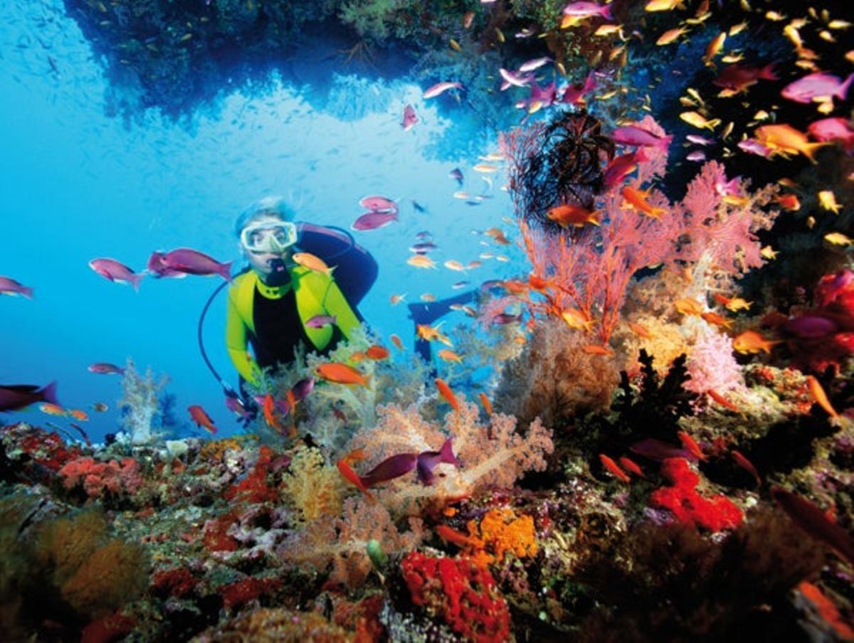Cozumel
La isla mayor de México,
cuyo nombre en maya
significa"lugar de las
golondrin Cozumel
La isla mayor de México,
cuyo nombre en maya
significa"lugar de las
golondrin