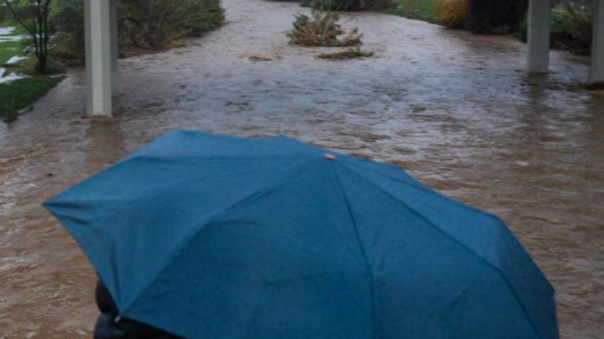 Un ciutadà observa el Parc Fluvial del Besòs. | JORDI OTIX