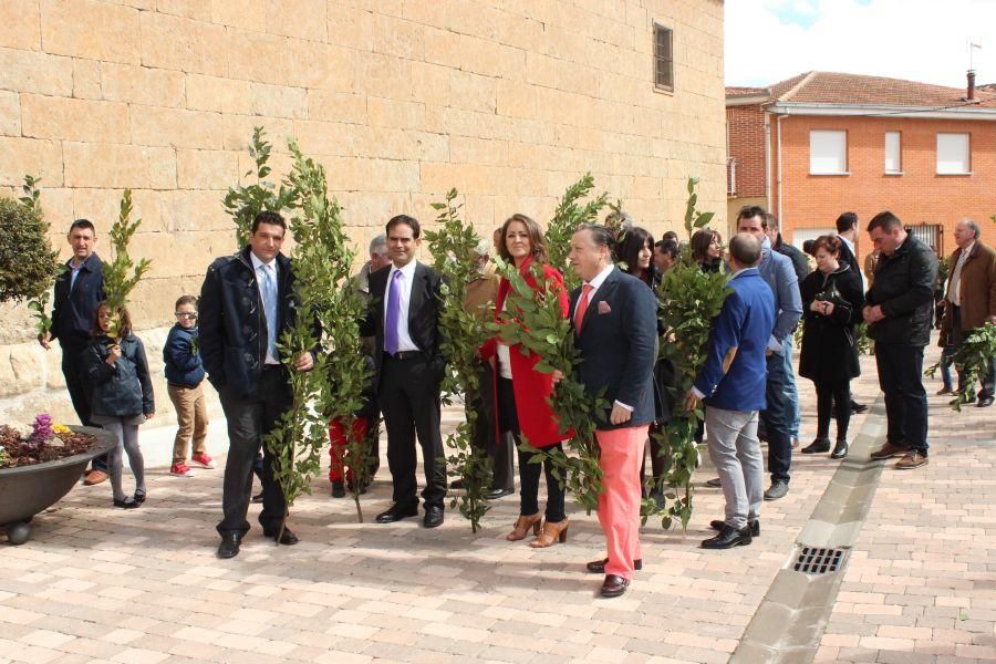 Procesión de Santa María en Fuentesaúco