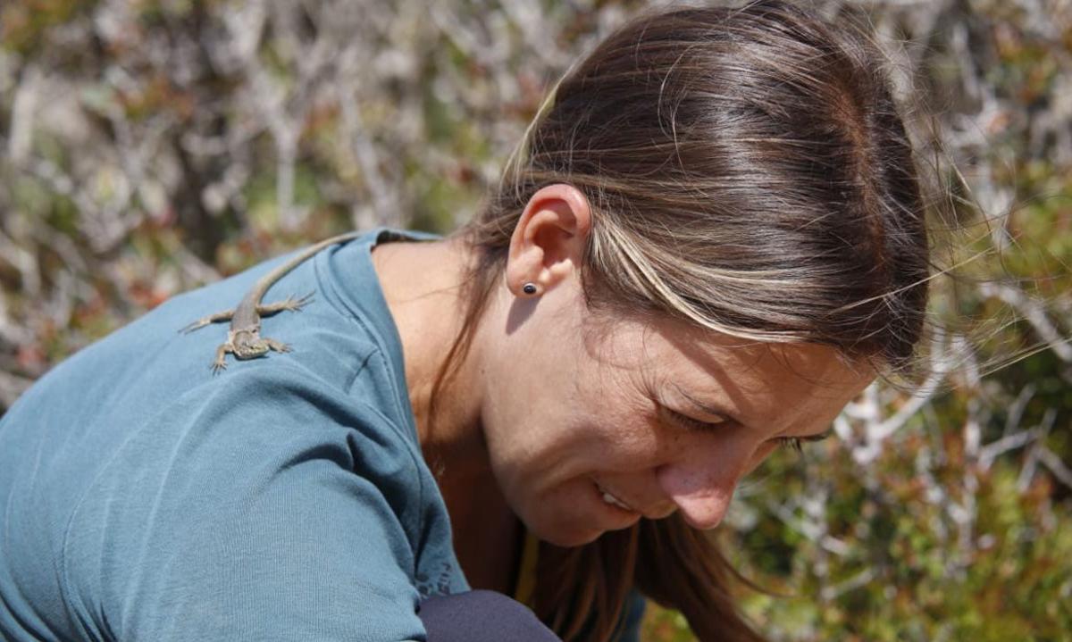 En el trabajo de campo, a veces, las especies parecen estudiar a los investigadores. |  ANA SANZ
