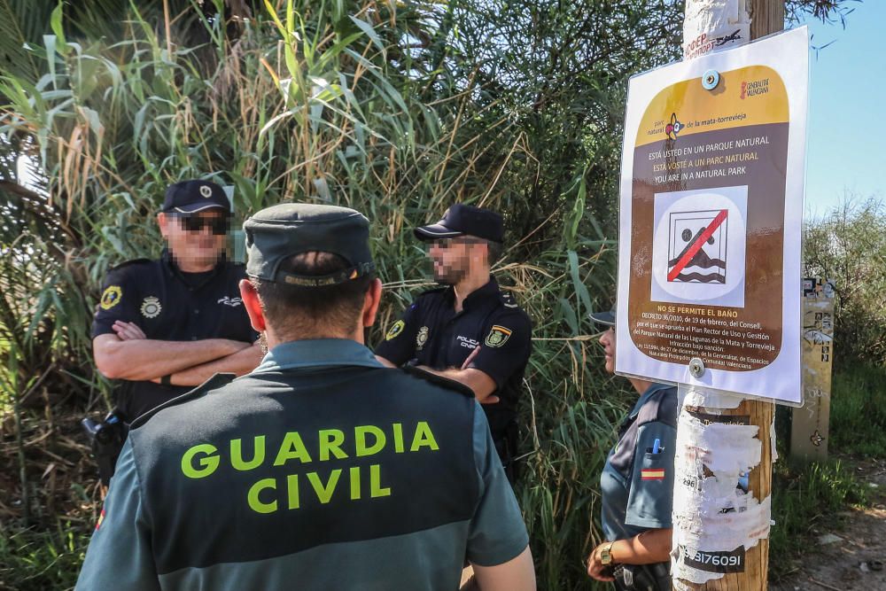 Guardia Civil y Policía cierran el paso a los bañistas en la laguna de Torrevieja. El personal del parque natural y agentes ambientales de la Generalitat informan sobre la prohibición de baño