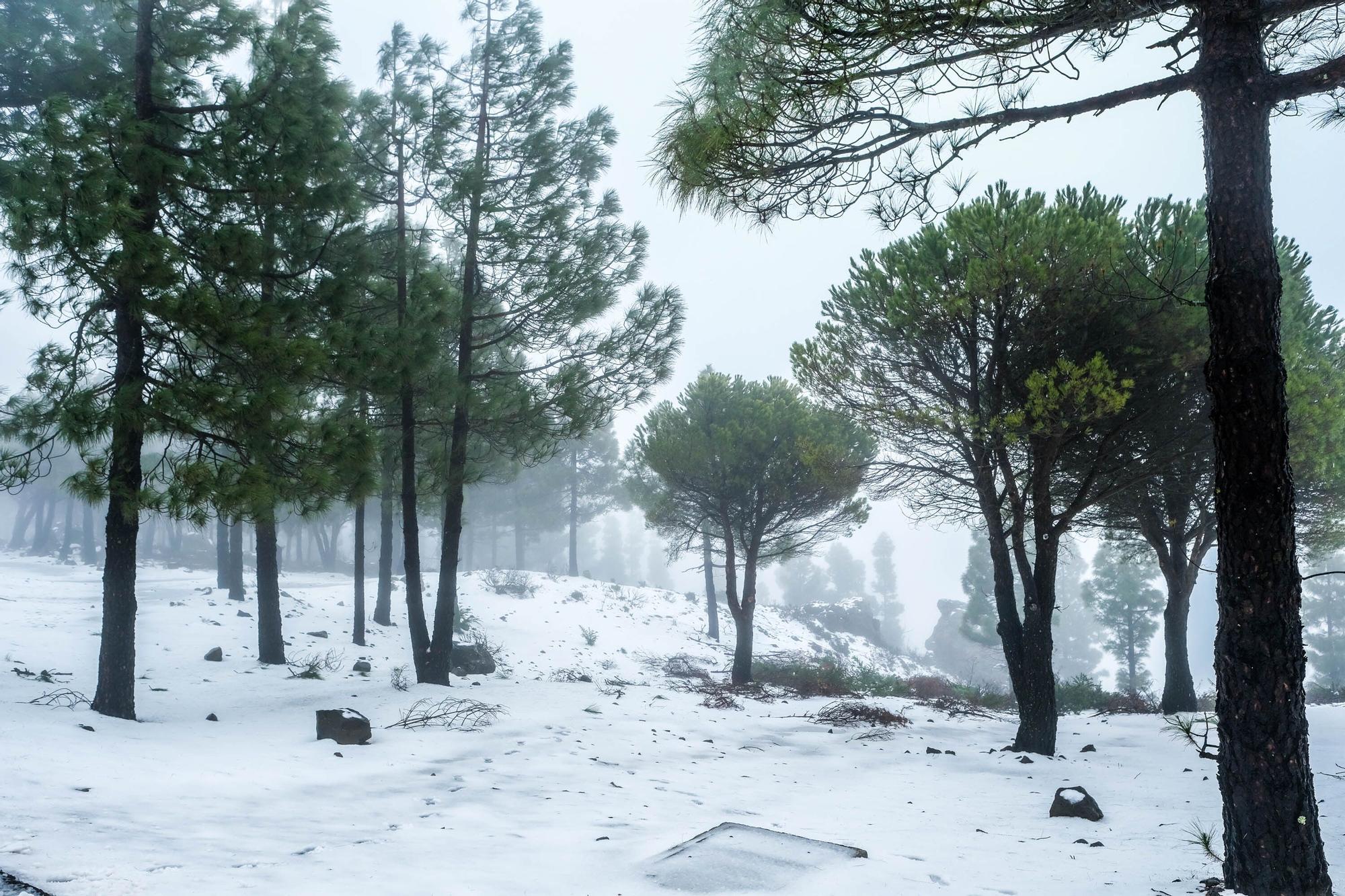 Nieve en la cumbre de Gran Canaria (15/03/2022)