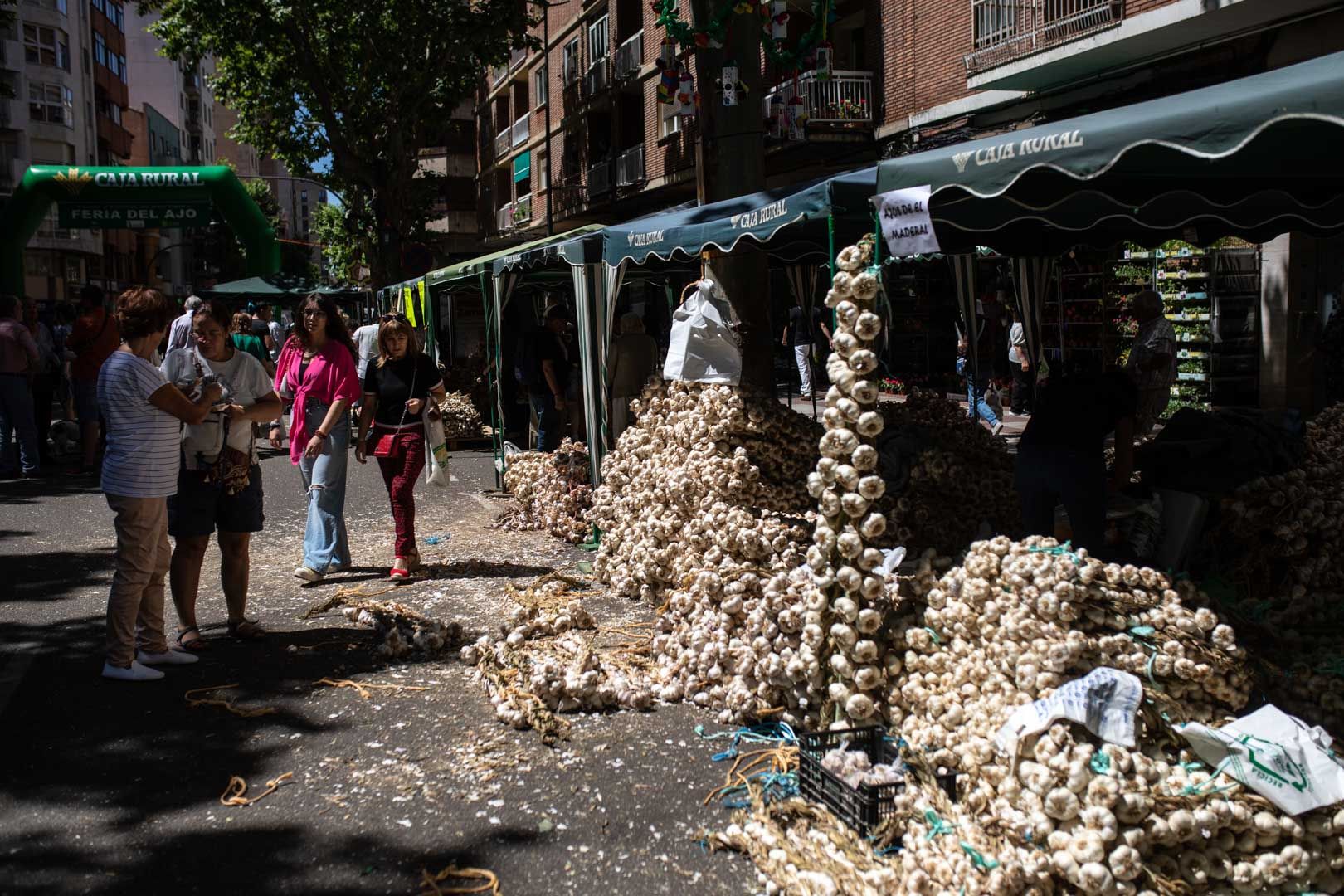 GALERÍA | Las mejores imágenes de la Feria del Ajo de Zamora