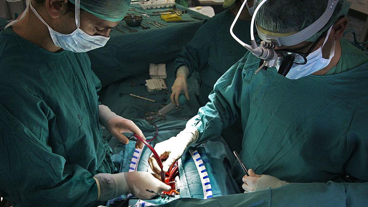 Los hospitales de Balears generaron 143 órganos para transplantes de 45 donantes