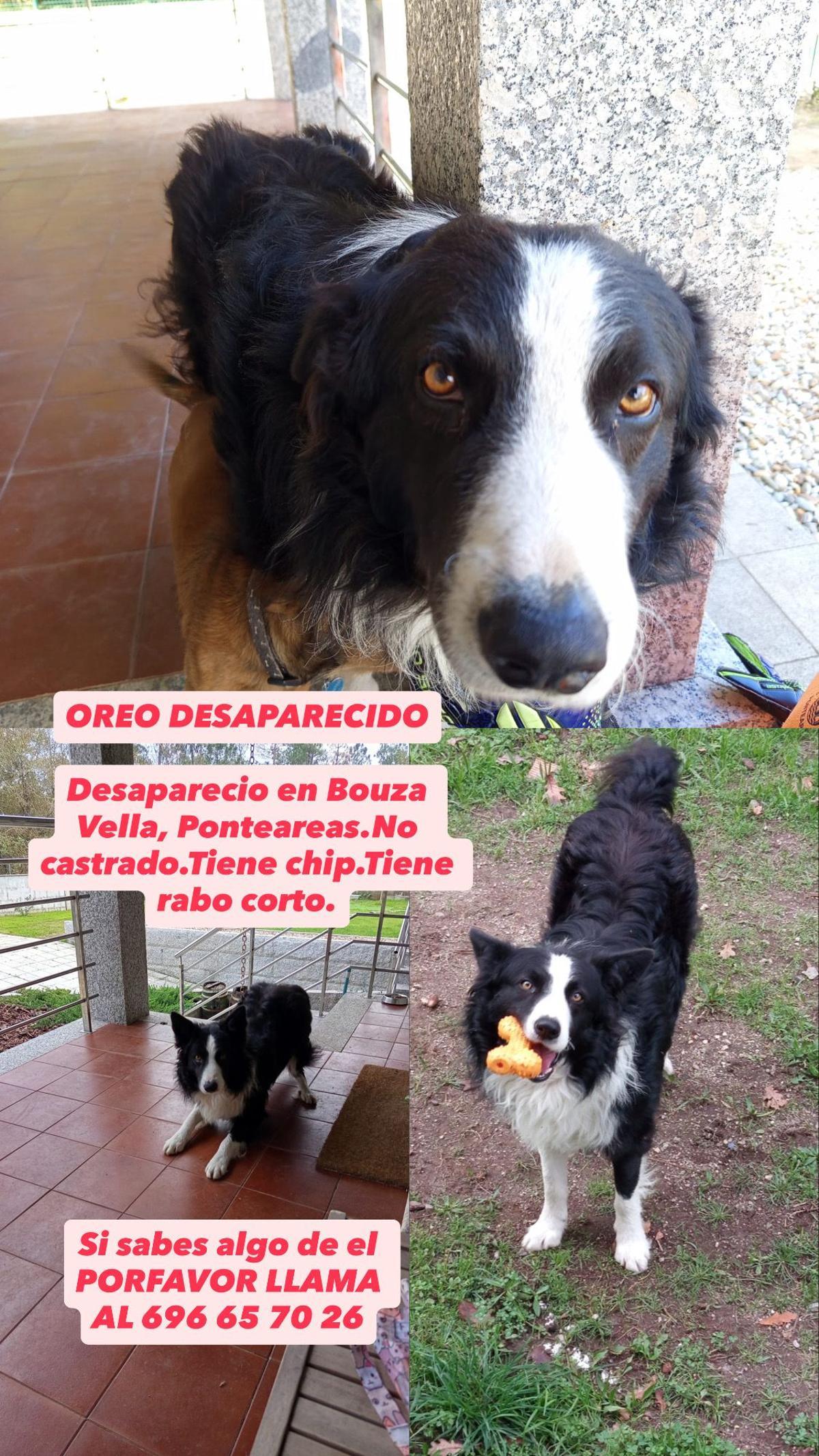 Anuncio de la desaparición de Oreo.