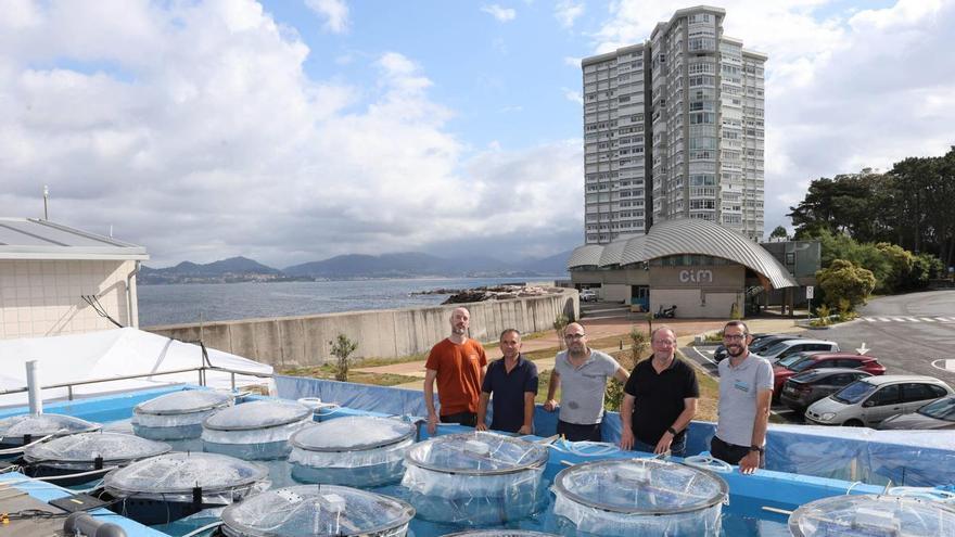 Doble celebración en la UVigo: Vigésimo aniversario de la Ecimat y décimo del Centro de Investigación Mariña (CIM)