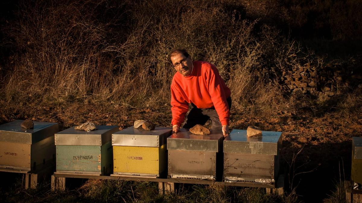 Guillermo Díez, apicultor alistano.