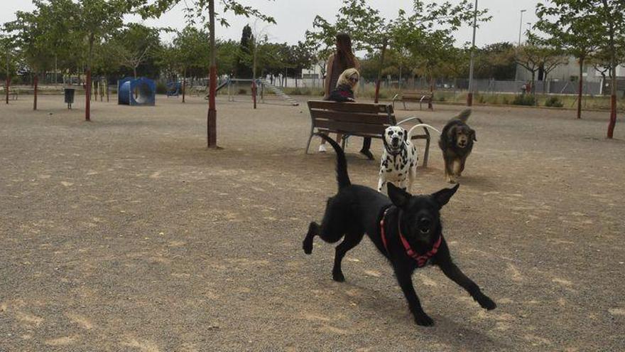 Parques de perros y pipican