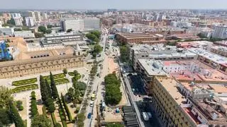 Nuevos cortes de tráfico por la obra del metro: Don Fadrique se cerrará una semana por el trasplante de los cinco grandes árboles al Parlamento