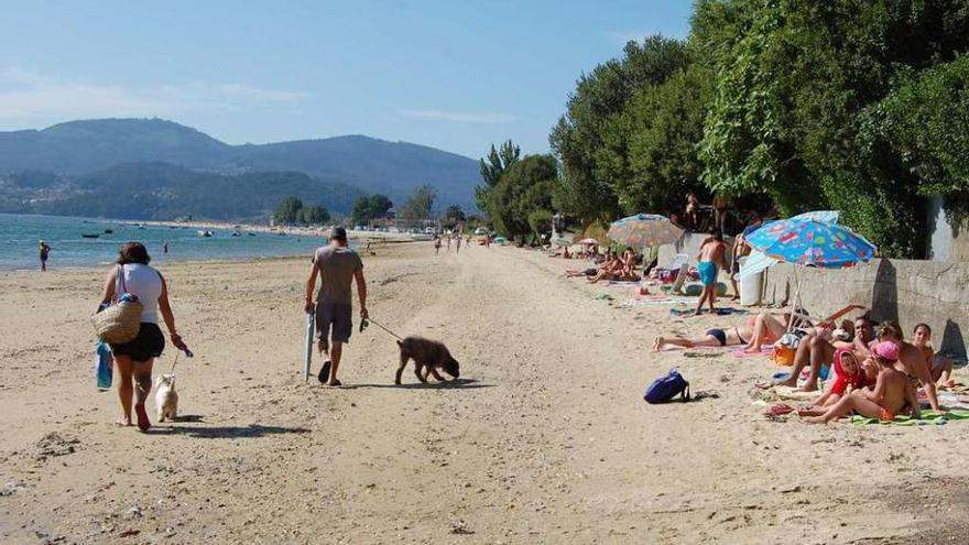 Dos personas pasean a sus perros, ayer, en la zona habilitada en la playa de Cesantes. // FdV