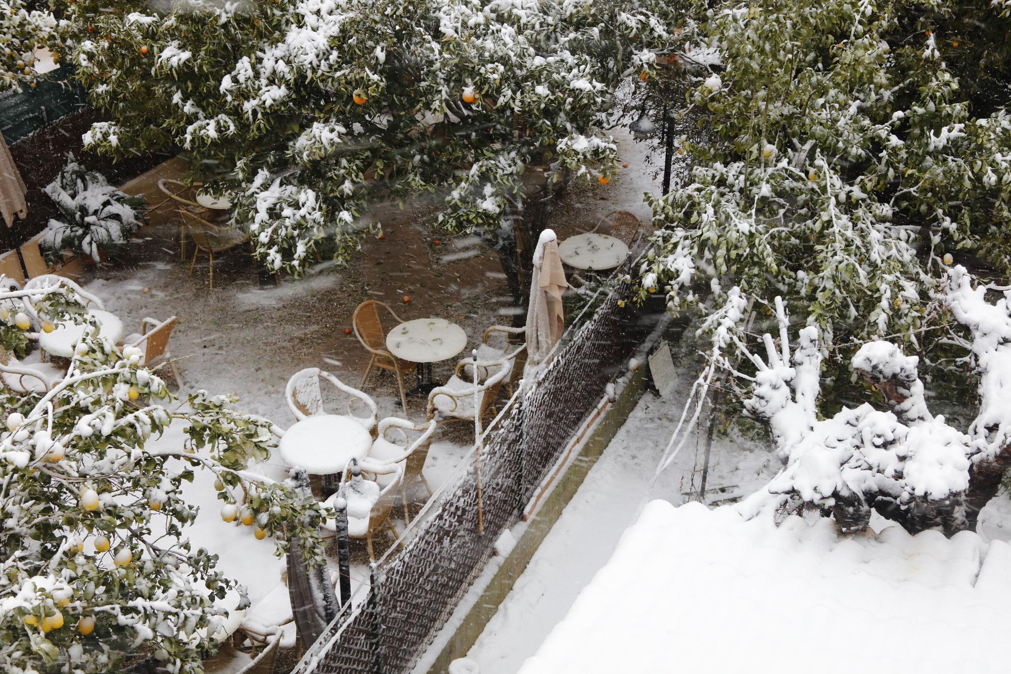 Malerisches Mallorca: Valldemossa im Schnee