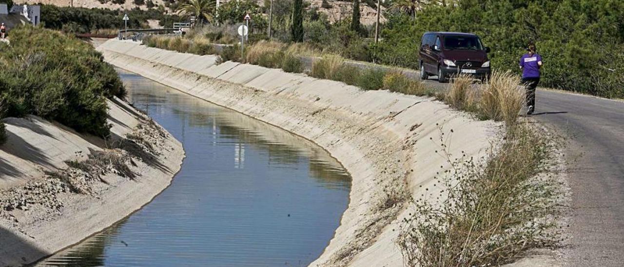 Agua del trasvase Tajo-Segura llegando a explotaciones agrícolas de la Vega Baja.