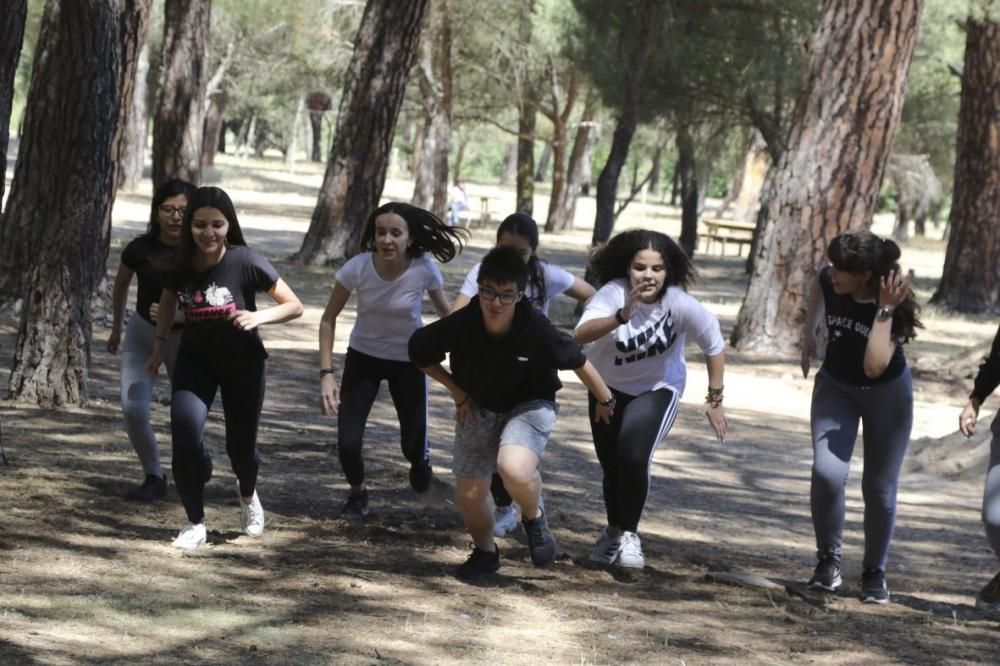 Carreras solidarias escolares