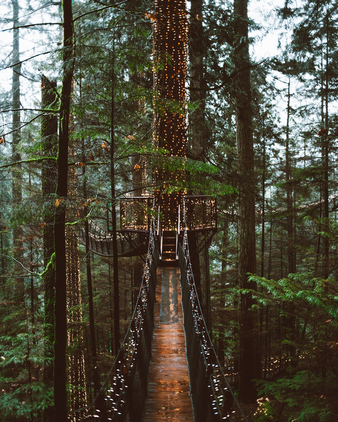 Parque Nacional de Redwood, California