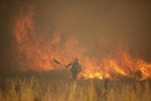 El foc ja ha arrasat 70.354 hectàrees des del gener fins al 3 de juliol