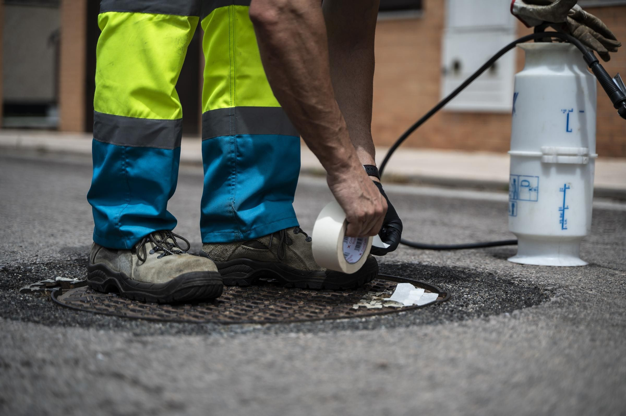 Campaña de desratización y control de plagas en Cáceres