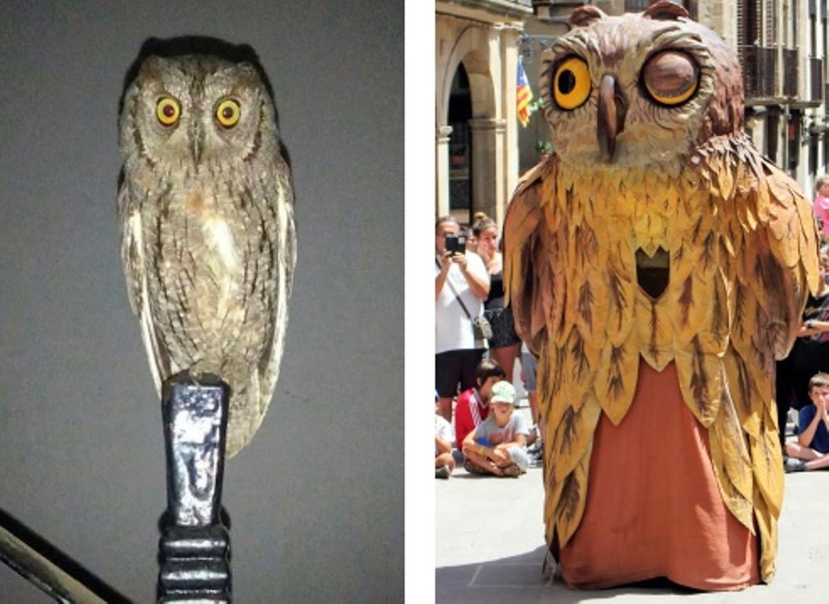 Un xut i la figura del Carnaval