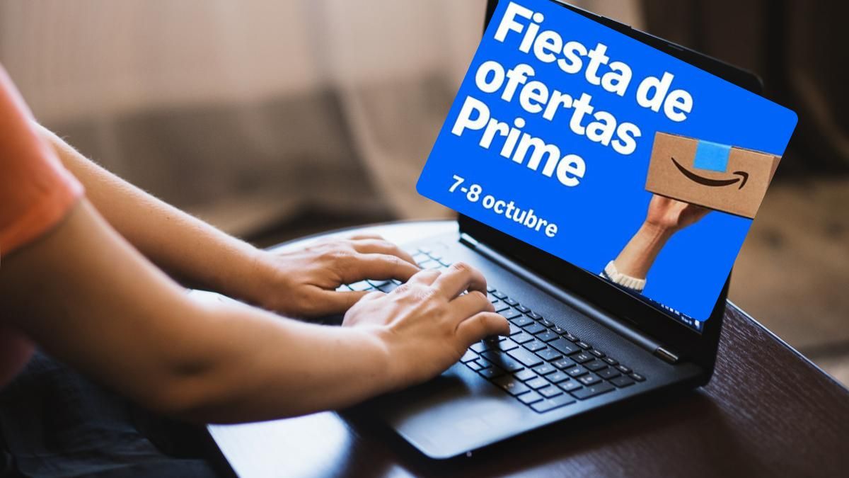 Chica con un ordenador